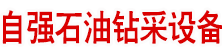 自强石油钻采设备有限公司 